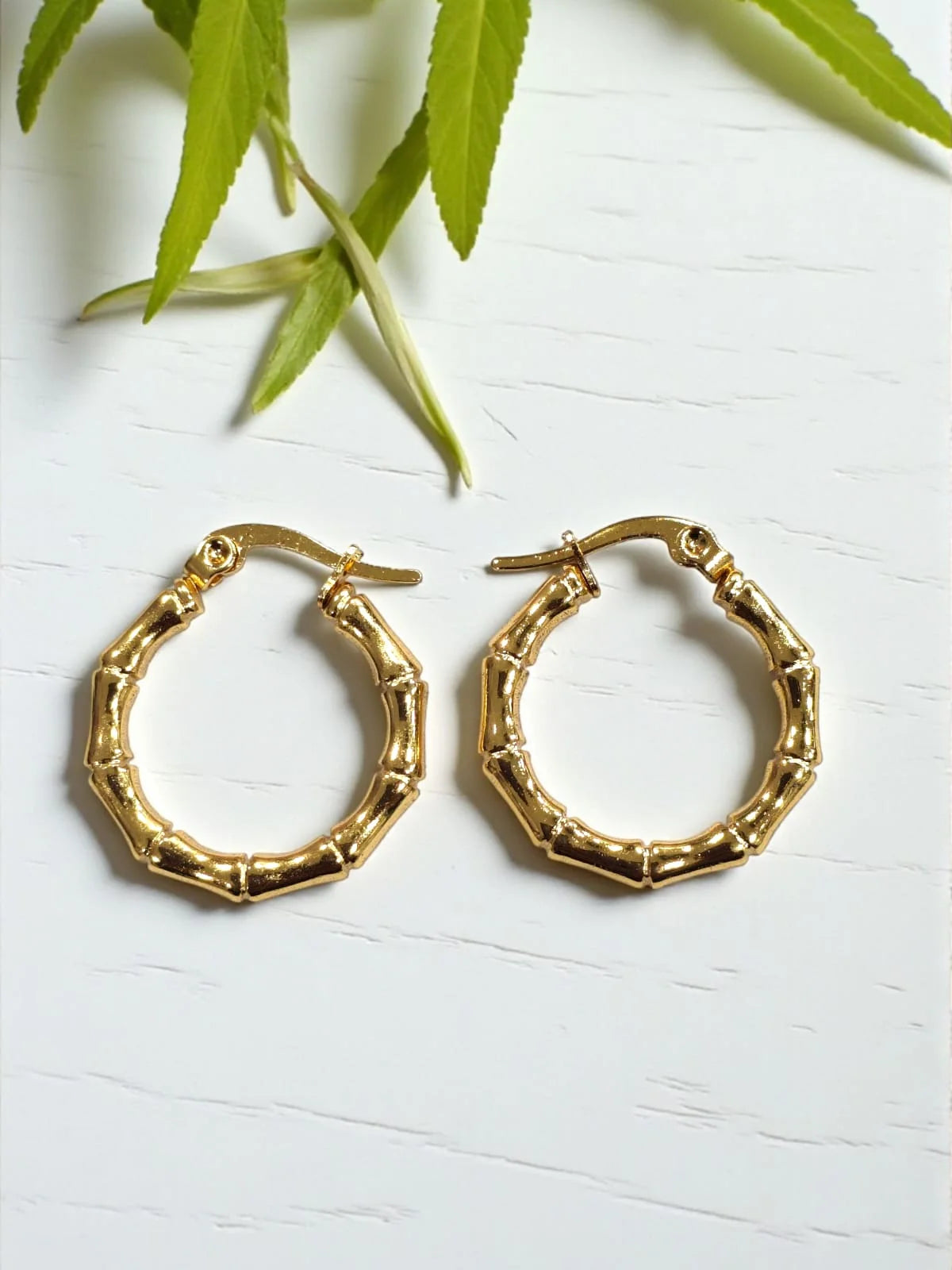 Golden HOOPS EARRINGS MN19